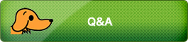 Q&A